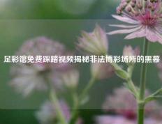 足彩馆免费踩踏视频揭秘非法博彩场所的黑幕