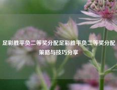 足彩胜平负二等奖分配足彩胜平负二等奖分配策略与技巧分享