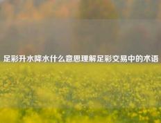 足彩升水降水什么意思理解足彩交易中的术语