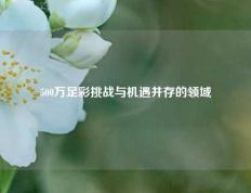 500万足彩挑战与机遇并存的领域