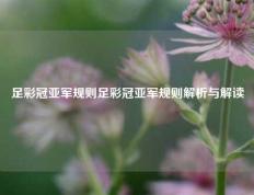 足彩冠亚军规则足彩冠亚军规则解析与解读
