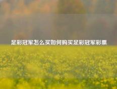足彩冠军怎么买如何购买足彩冠军彩票