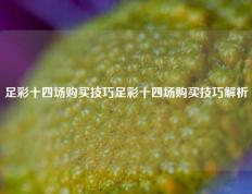 足彩十四场购买技巧足彩十四场购买技巧解析