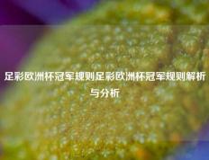 足彩欧洲杯冠军规则足彩欧洲杯冠军规则解析与分析