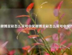微博足彩怎么买号中奖微博足彩怎么买号中奖？