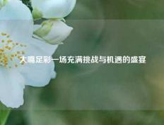 大嘴足彩一场充满挑战与机遇的盛宴