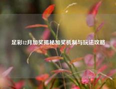 足彩12月加奖揭秘加奖机制与玩法攻略
