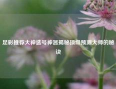 足彩推荐大神选号神器揭秘顶级预测大师的秘诀
