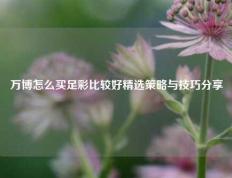 万博怎么买足彩比较好精选策略与技巧分享