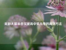 足彩大富翁合买提高中奖几率的高效方法