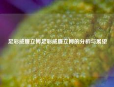 足彩威廉立博足彩威廉立博的分析与展望