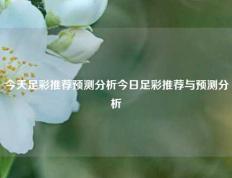今天足彩推荐预测分析今日足彩推荐与预测分析