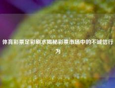 体育彩票足彩刷水揭秘彩票市场中的不诚信行为