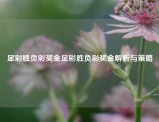 足彩胜负彩奖金足彩胜负彩奖金解析与策略