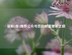 足彩2串1推荐公众号您的财富增长之路