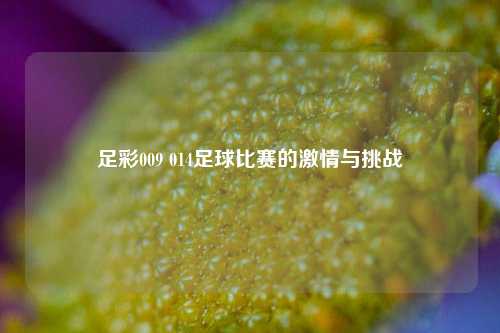 足彩009 014足球比赛的激情与挑战