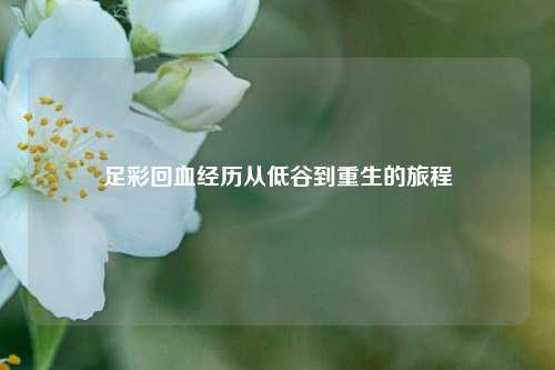 足彩回血经历从低谷到重生的旅程