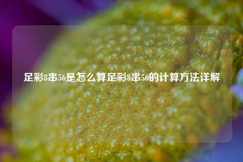 足彩8串56是怎么算足彩8串56的计算方法详解