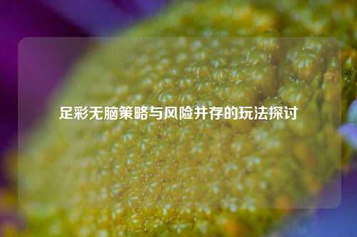 足彩无脑策略与风险并存的玩法探讨