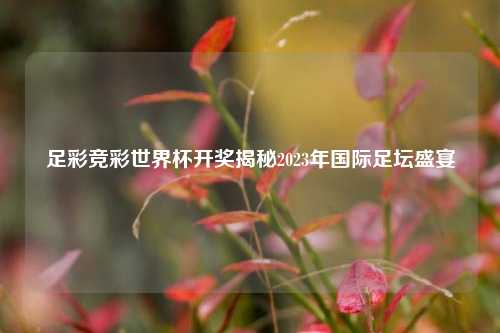 足彩竞彩世界杯开奖揭秘2023年国际足坛盛宴