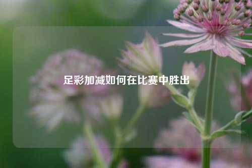 足彩加减如何在比赛中胜出