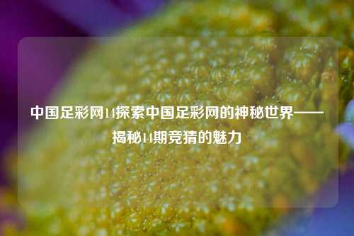 中国足彩网14探索中国足彩网的神秘世界——揭秘14期竞猜的魅力