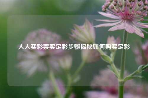 人人买彩票买足彩步骤揭秘如何购买足彩
