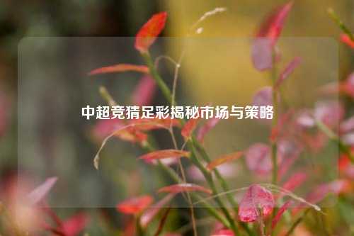 中超竞猜足彩揭秘市场与策略