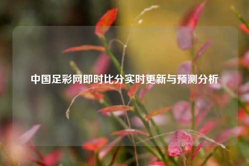 中国足彩网即时比分实时更新与预测分析