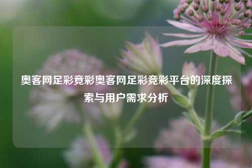 奥客网足彩竟彩奥客网足彩竞彩平台的深度探索与用户需求分析