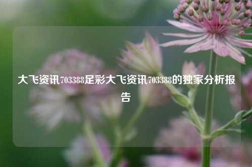 大飞资讯703388足彩大飞资讯703388的独家分析报告