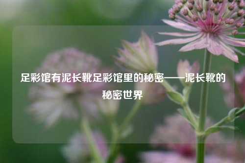 足彩馆有泥长靴足彩馆里的秘密——泥长靴的秘密世界