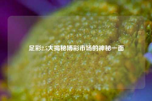 足彩2.5大揭秘博彩市场的神秘一面