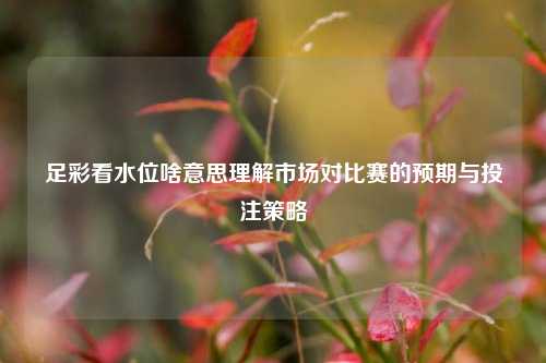 足彩看水位啥意思理解市场对比赛的预期与投注策略