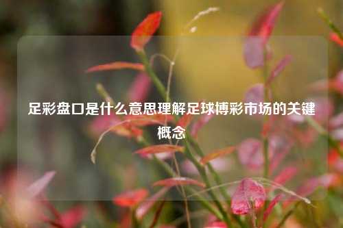 足彩盘口是什么意思理解足球博彩市场的关键概念