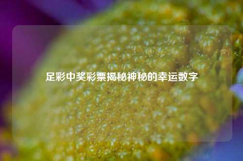 足彩中奖彩票揭秘神秘的幸运数字