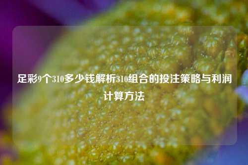足彩9个310多少钱解析310组合的投注策略与利润计算方法