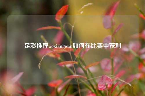 足彩推荐woxiangwan如何在比赛中获利