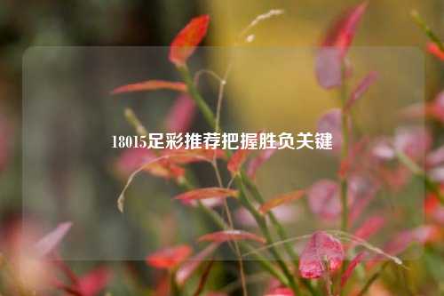 18015足彩推荐把握胜负关键