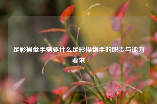 足彩操盘手需要什么足彩操盘手的职责与能力要求
