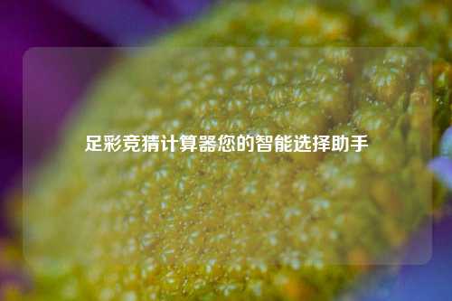 足彩竞猜计算器您的智能选择助手