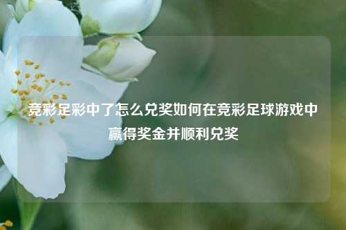 竞彩足彩中了怎么兑奖如何在竞彩足球游戏中赢得奖金并顺利兑奖