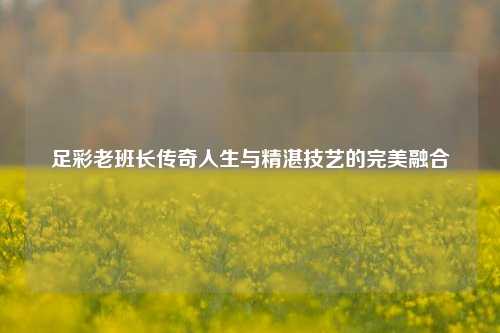 足彩老班长传奇人生与精湛技艺的完美融合