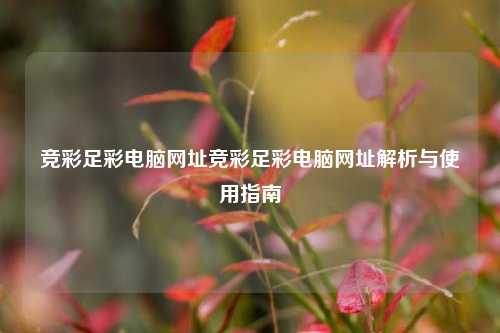 竞彩足彩电脑网址竞彩足彩电脑网址解析与使用指南