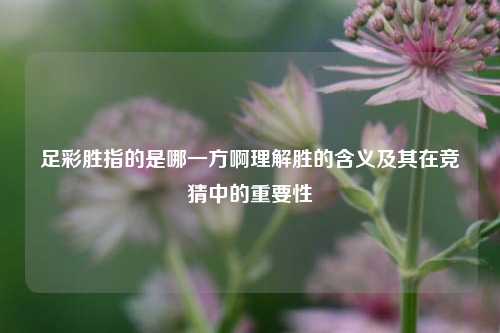 足彩胜指的是哪一方啊理解胜的含义及其在竞猜中的重要性