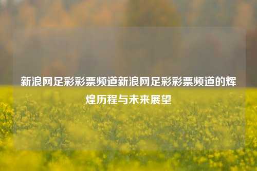 新浪网足彩彩票频道新浪网足彩彩票频道的辉煌历程与未来展望