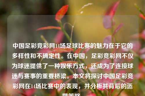 中国足彩竞彩网14场足球比赛的魅力在于它的多样性和不确定性。在中国，足彩竞彩网不仅为球迷提供了一种娱乐方式，还成为了连接球迷与赛事的重要桥梁。本文将探讨中国足彩竞彩网在14场比赛中的表现，并分析其背后的运营策略。