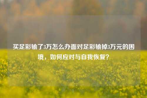 买足彩输了3万怎么办面对足彩输掉3万元的困境，如何应对与自我恢复？