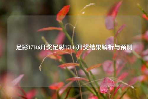 足彩17146开奖足彩17146开奖结果解析与预测