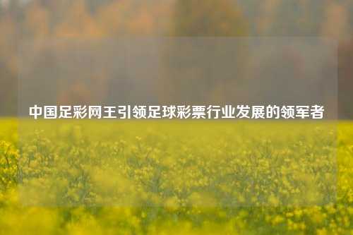 中国足彩网王引领足球彩票行业发展的领军者